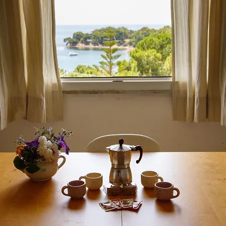 Casa vacanze Baia Di Ogliastro *
